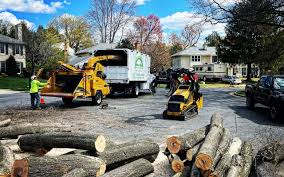 Best Emergency Tree Removal  in Matteson, IL