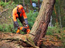 Soil Testing and Treatment in Matteson, IL